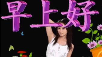 早晨好视频,早晨好视频深度解析