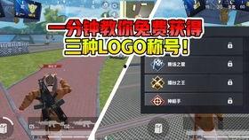 兔子活动视频,兔子日常活动精彩瞬间集锦