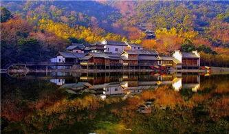 桃花岛免费视频,探寻武侠世界的奇幻之旅