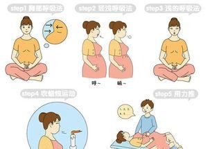 拉玛泽呼吸法教学视频,拉玛泽呼吸法教学视频精华概述