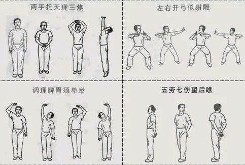 导引术十二功法完整演示视频,完整视频教程概述