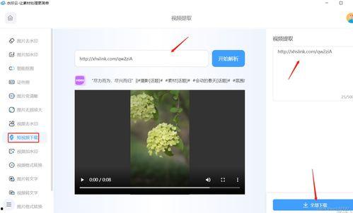 怎么下载高清视频,高清视频下载全攻略