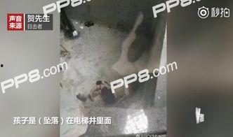 帽尿视频,揭秘网络奇观背后的趣味与思考