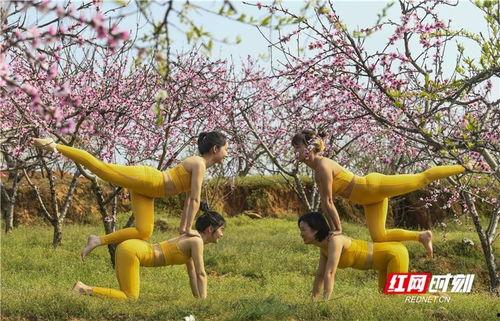 桃花开舞 无内裤 视频